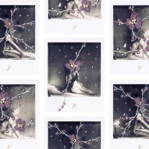N°112 : ne m’oubliez pas - sakura
