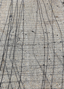fragment 12