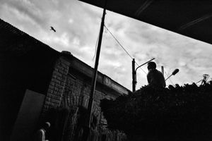Silhouette
