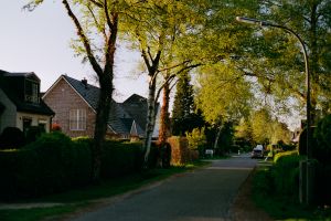 In My Hood #1