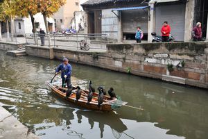 Lane life in Jiangnan032