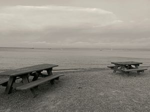 The Presence of Absence No.9
