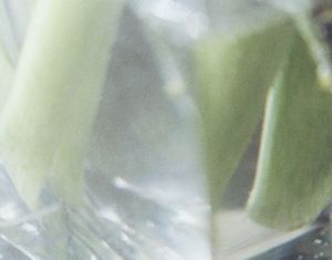 from the series Grains of existence