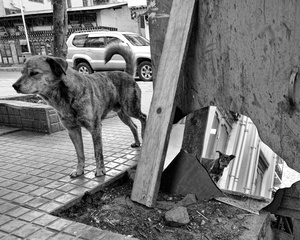 Bhutan Broken Mirror 8