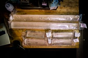 Ice cores from the Arctic