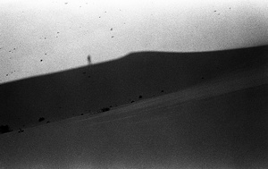 Dune #5