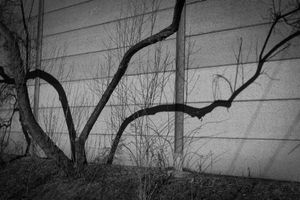 Mississauga, Ontario 2015