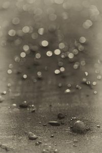 © Carolyn Meltzer