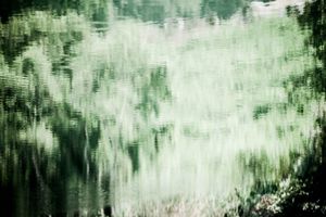 Sounds of silence/Retro  time  トータルのタイトルはSounds of silenceです。これらの写真は水に映った風景です。つまり、水鏡の写真を逆転して提示したものです。私はこれらのシリーズ写真を撮影する上で、光と影そして、水に映る瞬間と水の流れによるものをカメラという機械装置でその時間（シャッタースピード）で描く絵を表現しています。つまり、私は、自然風景を、自然の川や湖などの水を見てその光と影で絵を描いていると言いたいのです。それは、写真的であり、また、photoであると言いたいのです。