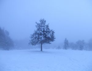 Day 1 #8