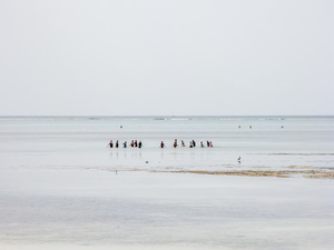 Small nets, Hand lines