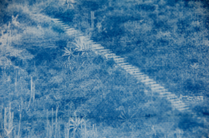 Lost City 9