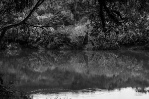 Peaceful