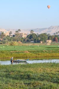 On the Nile