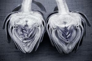 artichoke