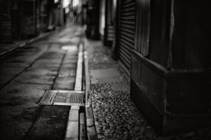 Unchanged Kyoto-rainy path