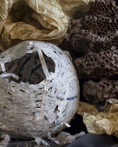 Detail