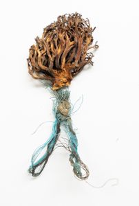 Amalgamated Fragmentations / Plastiverse 5