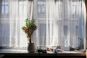 View from the window