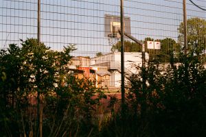 In My Hood #18