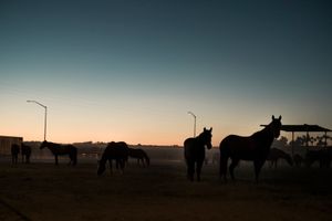 Brawley, California