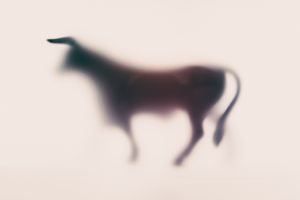 Wildblur-zoo-04.jpg