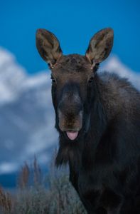 Young Punk Who Was Up All Night