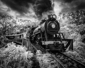 Trem das onze
