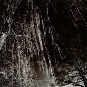 Insight #2, Brooklyn, NY, 2009                    © Kimberly Schneider