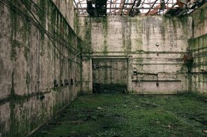 Untitled 4