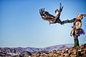 Eagle Hunter Aigerim CO114