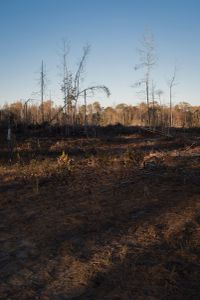 Dixon Mills, Alabama
