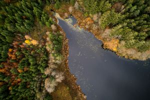 Lakeshore Operations | Fall Series #08