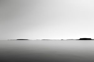 Untitled 5