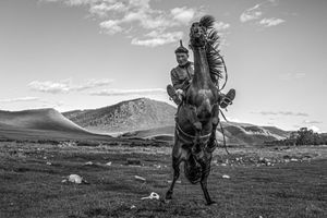 The Horseman