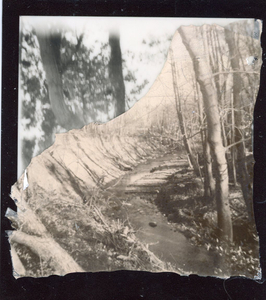 Constructed Landscapes 5