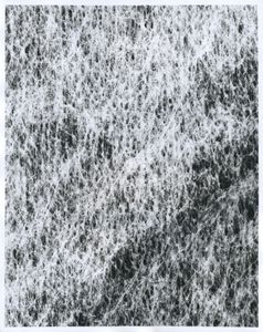 Fleece No.1 - from the series "IT'S POSITIVE TO BE NEGATIVE"