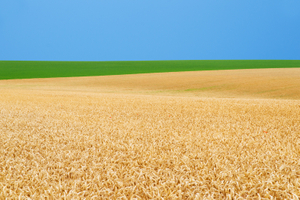 Paysage Culturel