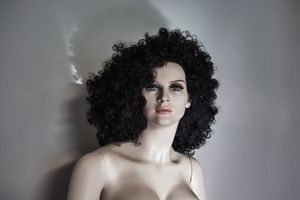 THE MILA PROJECT