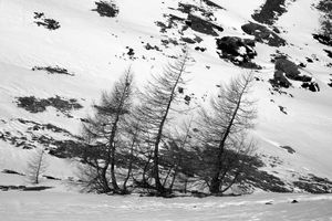 Radiography of a journey. Bernina Express from Tirano to St. Moritz