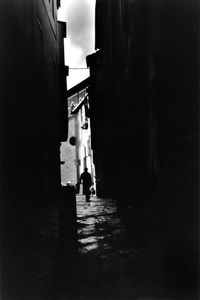 Lucca #1
