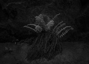 Untitled 7