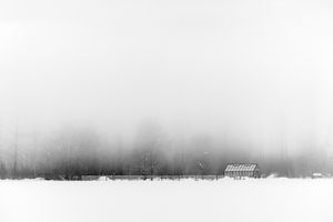 Solitude in a Glass House