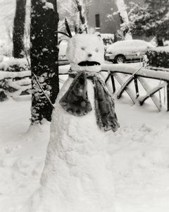 Life of a snowman (1)