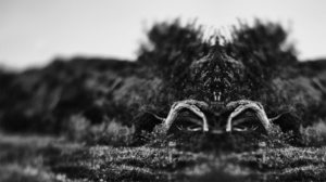 watching you