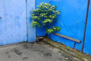 Untitled4