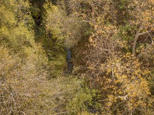 Big Tujunga Creek