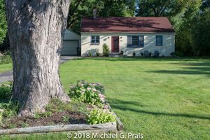 Tree and Blockhouse