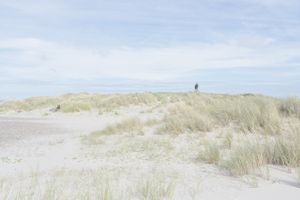 Skagen