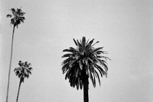 Skyline | Touchdown In Tinseltown